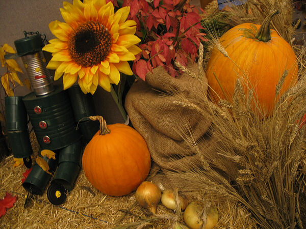 Harvest Decor