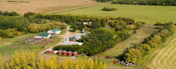 Farmyard Sm