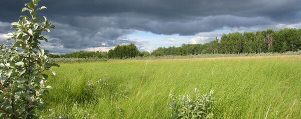 Gillis Farm 018 Sm